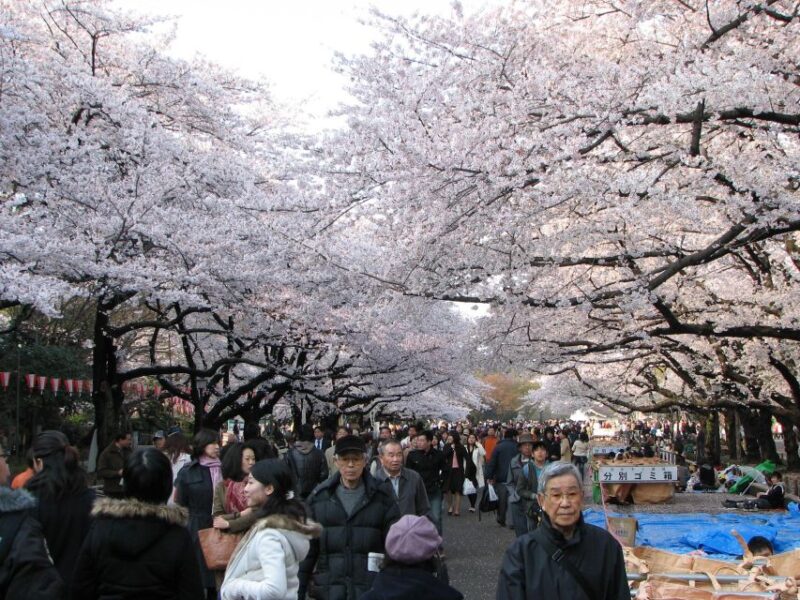 Tokyo: Full-Day Private Tour With English Guide - Senso-ji Temple Visit