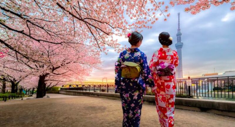 Tokyo: Full-Day Private Tour With English Guide - Ueno Park Stroll