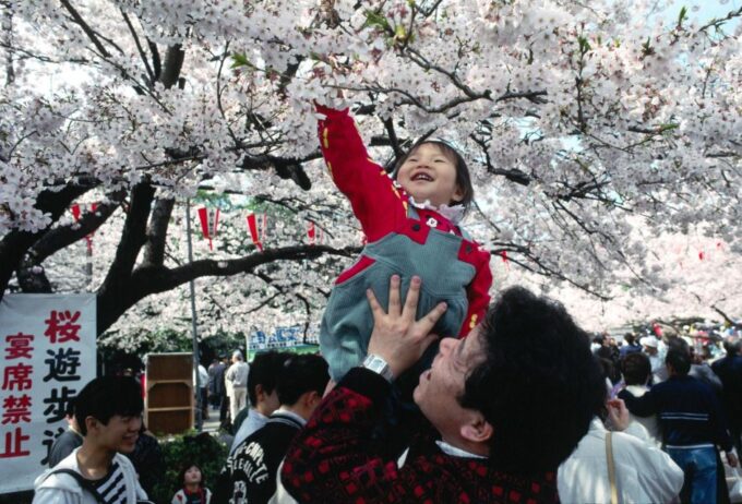 Tokyo: Full-Day Private Tour With English Guide - Tokyo Tower Observation
