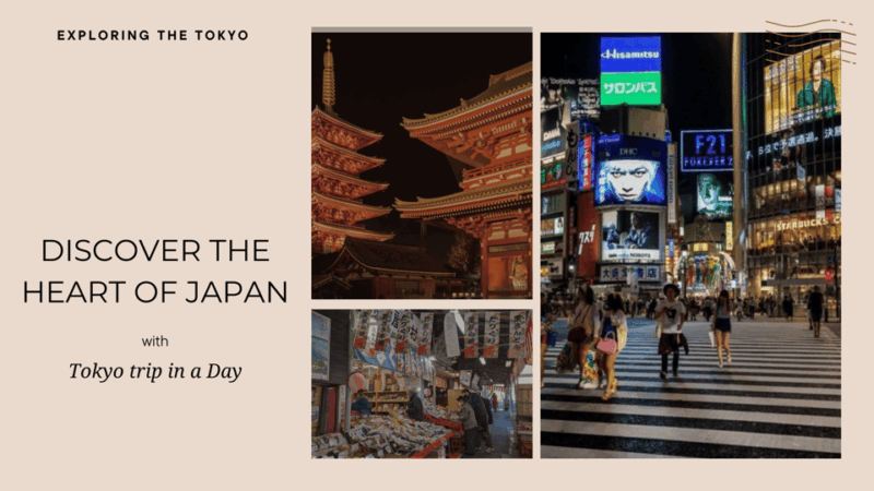 Tokyo Full Day Private Tour With Guide - Key Points