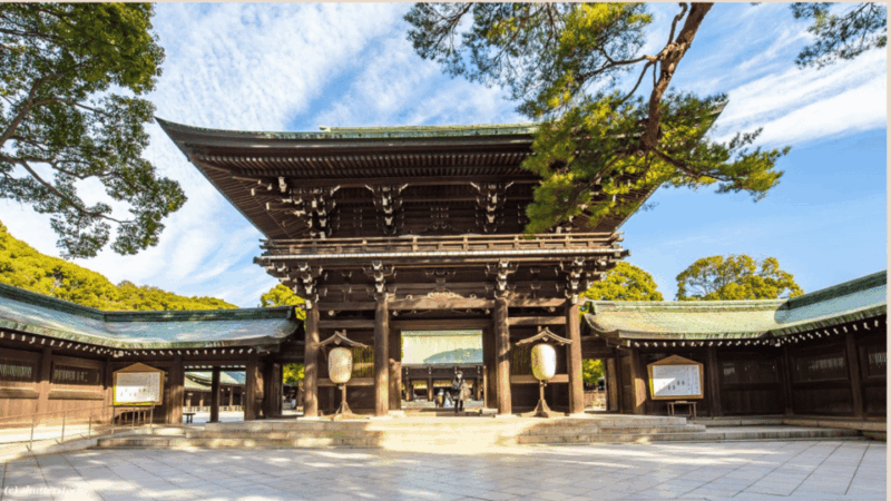 Tokyo Full Day Private Tour With Guide - Odaiba Experience