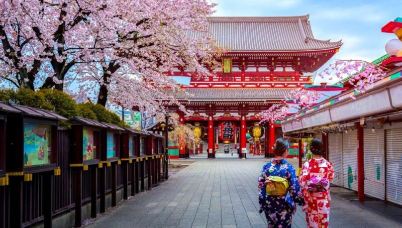 Tokyo: Full Day Private Walking Tour With a Guide - Discover Historic Sensoji Temple