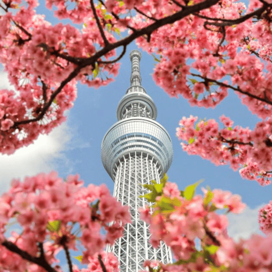 Tokyo: Full Day Tokyo City Private Tour Must Seeing Places - Key Points