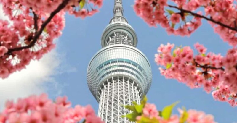 Tokyo: Full Day Tokyo City Private Tour Must Seeing Places - Imperial Palace Grandeur