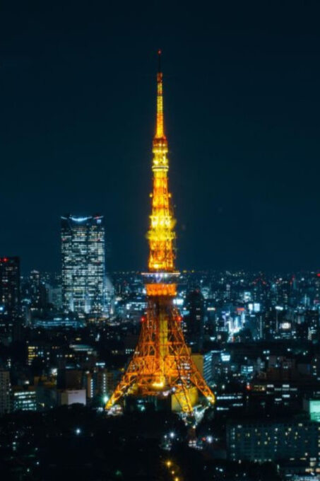 Tokyo: Full Day Tokyo City Private Tour Must Seeing Places - Shibuya Crossing Vibrant Atmosphere
