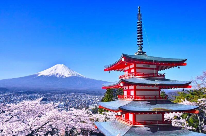 Tokyo: Full-day Tour of the Four Majestic Spots of Mt Fuji - Key Points