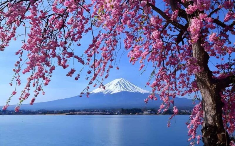 Tokyo: Full-day Tour of the Four Majestic Spots of Mt Fuji - Cultural Experience