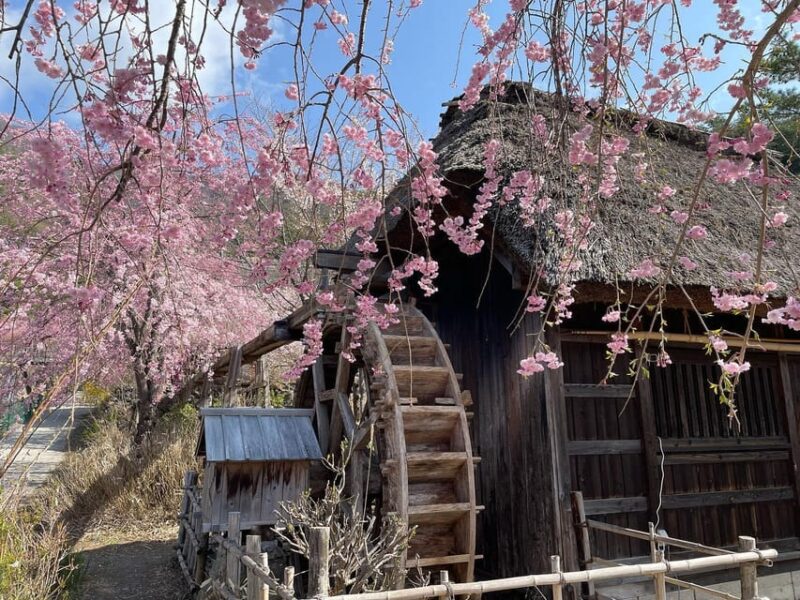 Tokyo: Full-day Tour of the Four Majestic Spots of Mt Fuji - Oshino Hakkai