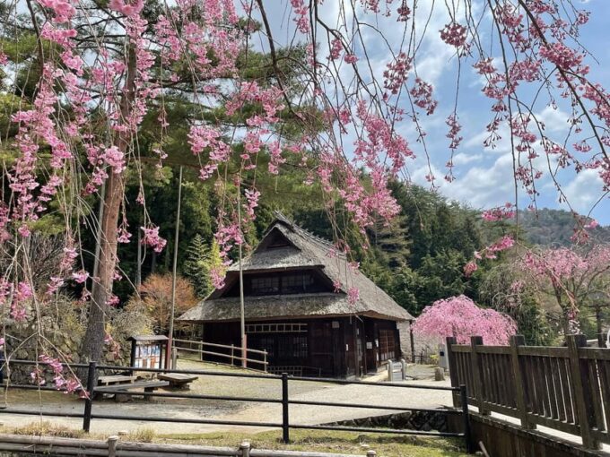 Tokyo: Full-day Tour of the Four Majestic Spots of Mt Fuji - Inclusions and Exclusions