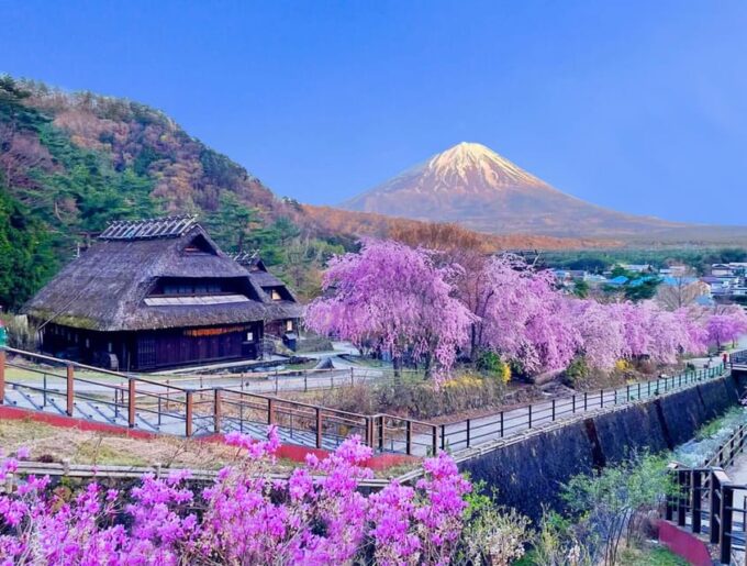 Tokyo: Full-day Tour of the Four Majestic Spots of Mt Fuji - Important Information
