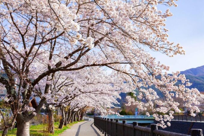 Tokyo: Full-day Tour of the Four Majestic Spots of Mt Fuji - Frequently Asked Questions