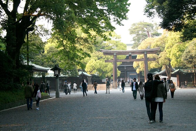 Tokyo Full Day Trip With Private Guide and Luxury Car - Transportation and Pickup