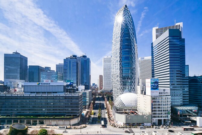 Tokyo Full Day Trip With Private Guide and Luxury Car - Medical Conditions