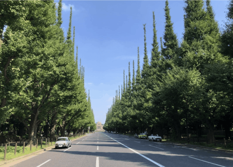 Tokyo: Gaienmae Ginkgo Avenue Walk and Vegan Dinner Tour - Vegan Dinner: A Culinary Delight