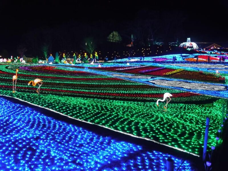 Tokyo: German Village Lighting and Farm Experience - Key Points