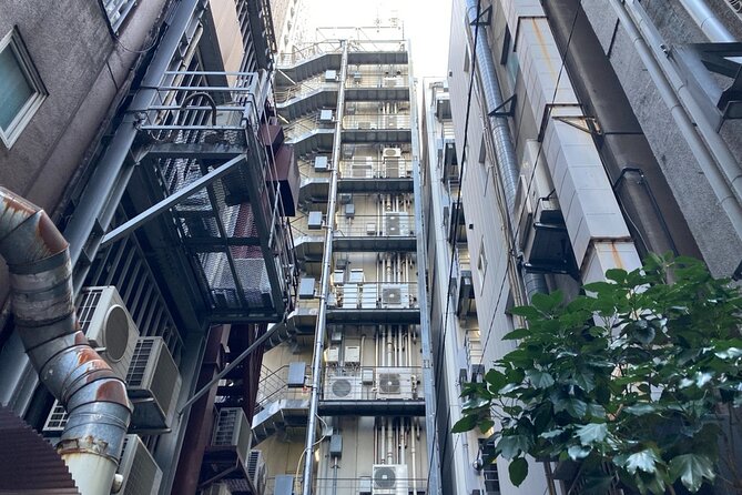 Tokyo Ginza Deep Back Alley Walking Tour - What to Expect