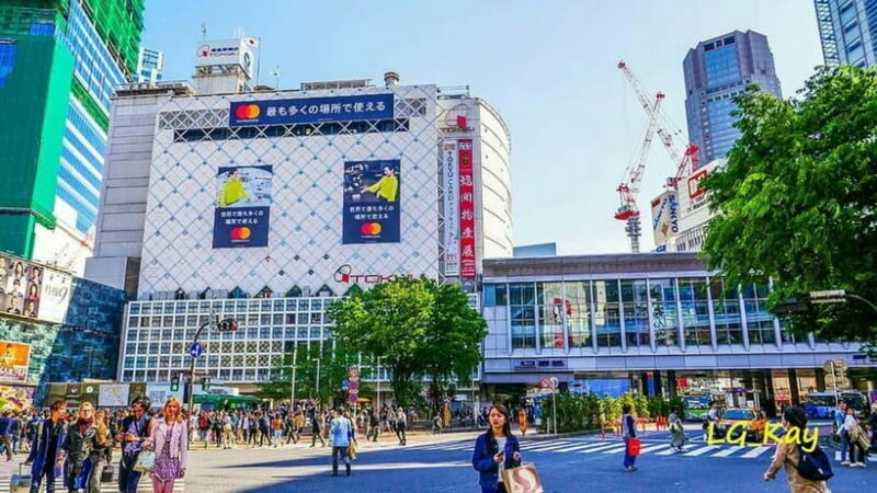 Tokyo: Guided Exploration with a Private Driver - Authentic Experiences and Reviews