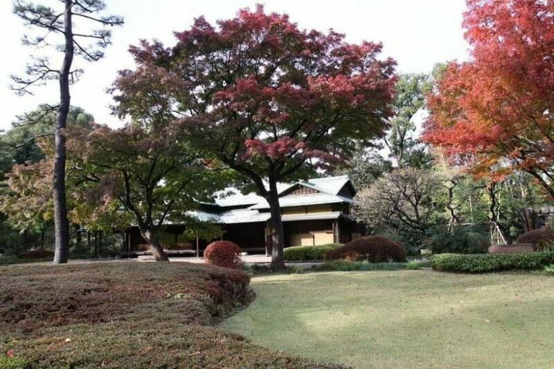 Tokyo: Guided Exploration with a Private Driver - The Sum Up: Who Is This Tour Best For?