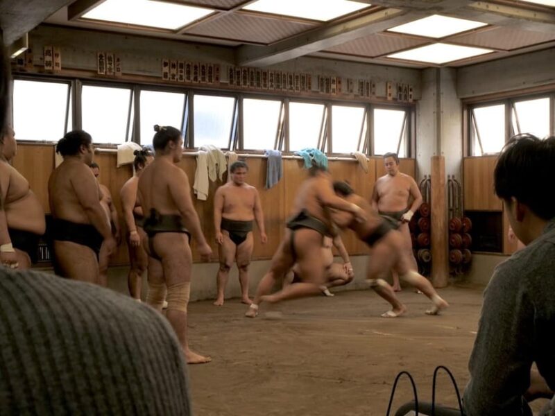 Tokyo: Guided Sumo Stable Visit for Morning Practice - Sumo Wrestling Traditions