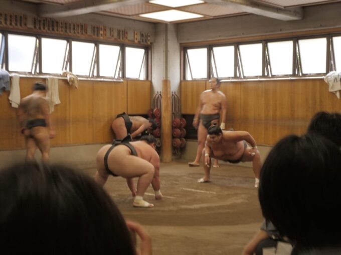 Tokyo: Guided Sumo Stable Visit for Morning Practice - Experiencing Authentic Sumo