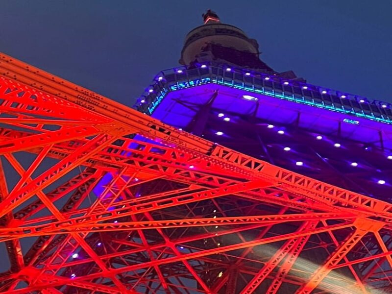 Tokyo: Guided Tour Mt. Fuji, Oishi Park, Odawara,Tokyo Tower - Key Points
