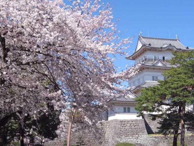 Tokyo: Guided Tour Mt. Fuji, Oishi Park, Odawara,Tokyo Tower - Inclusions Overview
