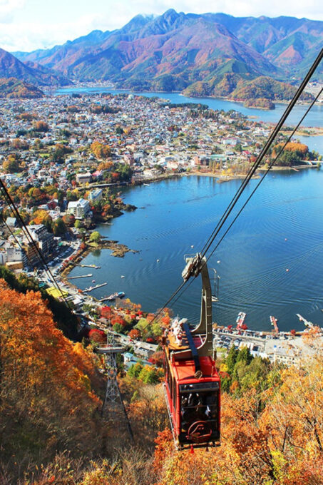 Tokyo: Guided Tour Mt. Fuji, Oishi Park, Odawara,Tokyo Tower - Exclusions Overview
