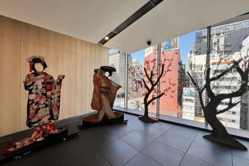 Tokyo: Guided Tour of Traditional Performance Art Kabuki - Tour Inclusions