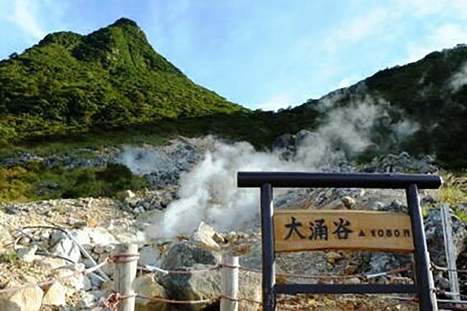 Tokyo: Hakone Fuji Day Tour W/ Cruise, Cable Car, Volcano - Enjoy Kuro-tamago (Black) Eggs