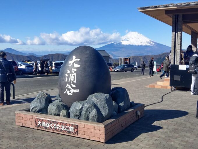 Tokyo: Hakone Fuji Day Tour W/ Cruise, Cable Car, Volcano - Frequently Asked Questions