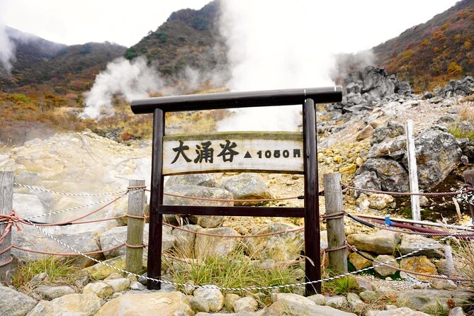 Tokyo: Hakone, Owakudani and Lake Kawaguchi 1-Day Bus Tour - Inclusions
