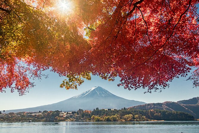 Tokyo: Hakone, Owakudani and Lake Kawaguchi 1-Day Bus Tour - Itinerary