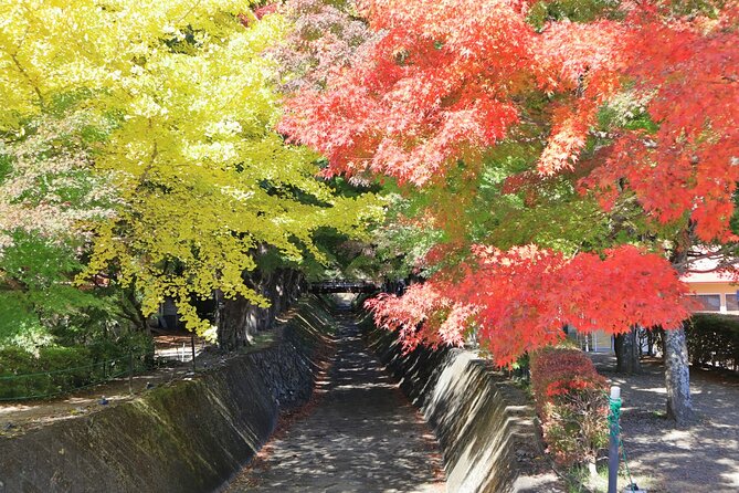 Tokyo: Hakone, Owakudani and Lake Kawaguchi 1-Day Bus Tour - Highlights