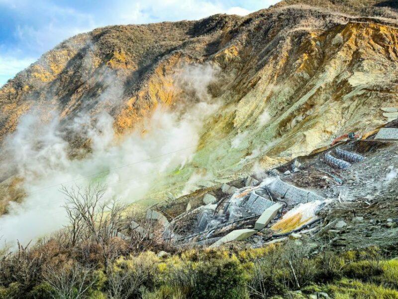 Tokyo: Hakone, Owakudani & Gotemba Premium Outlet 1-Day Tour - FAQs