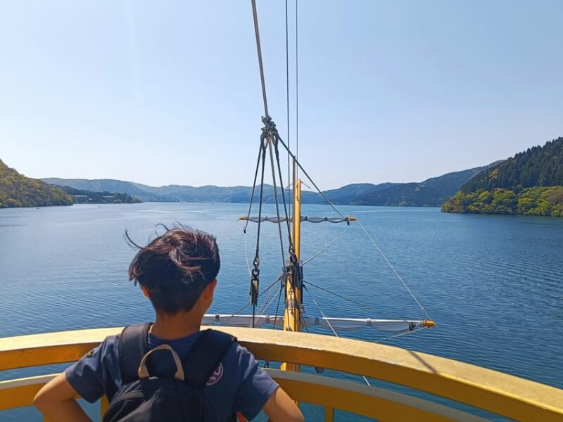 Tokyo: Hakone Private Day Trip With English Speaking Driver - Visiting the Hakone Open-Air Museum