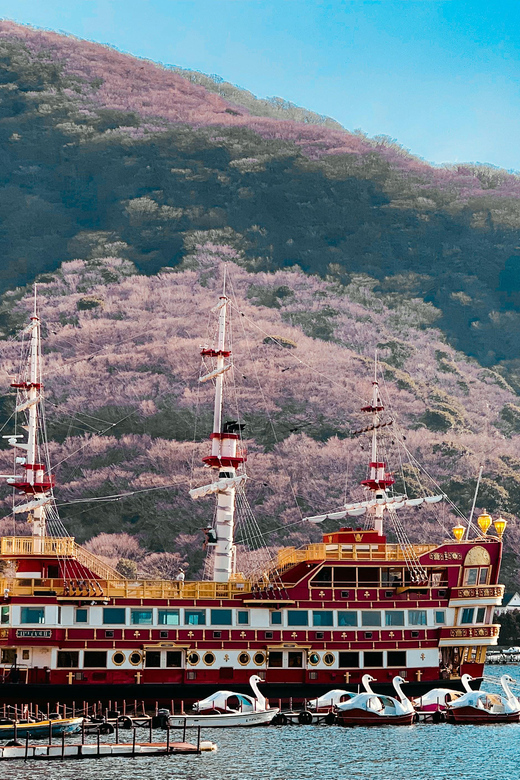 Tokyo: Hakone Private Day Trip With English Speaking Driver - FAQ
