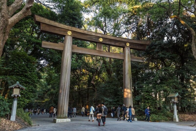 Tokyo: Half-Day Afternoon Small Group Tour - Tour Experience
