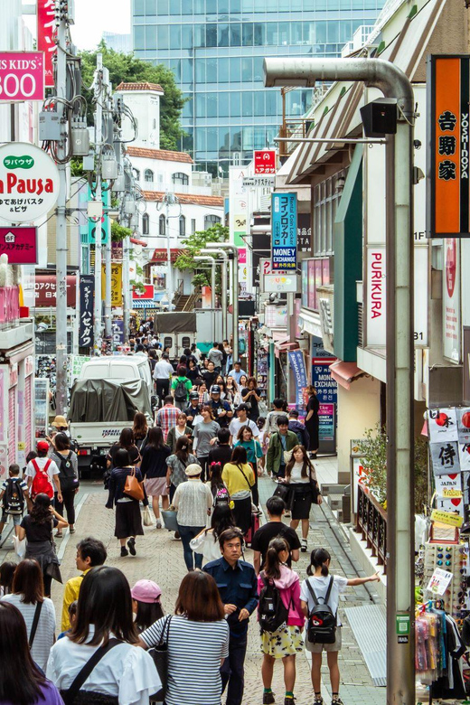 Tokyo: Half-Day Afternoon Small Group Tour - Important Information