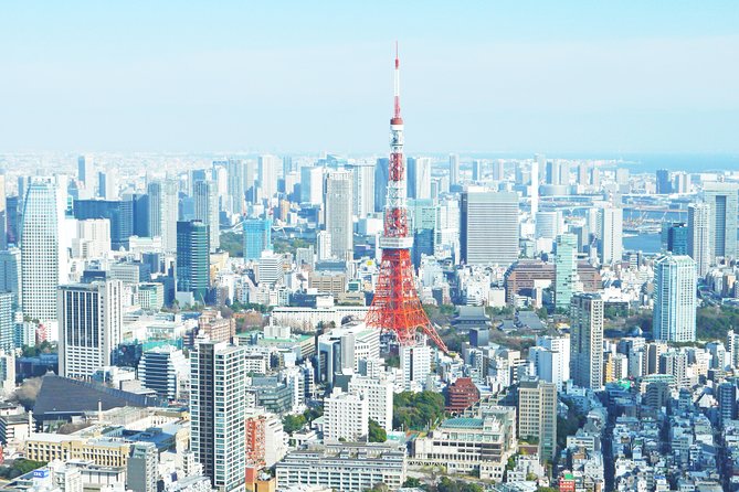 Tokyo Half-day Customized Private Tour - Tour Duration and Participation