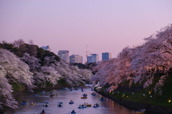 Tokyo Half-day Customized Private Tour - Review Highlights