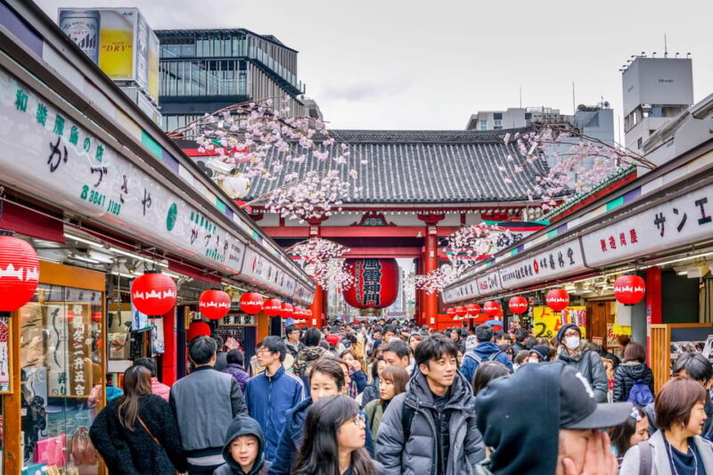 Tokyo: Half-Day Morning Small Group Tour - Experience Details
