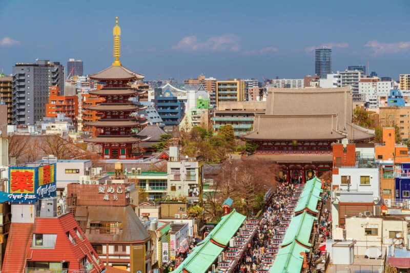 Tokyo: Half-Day Morning Small Group Tour - Tour Logistics