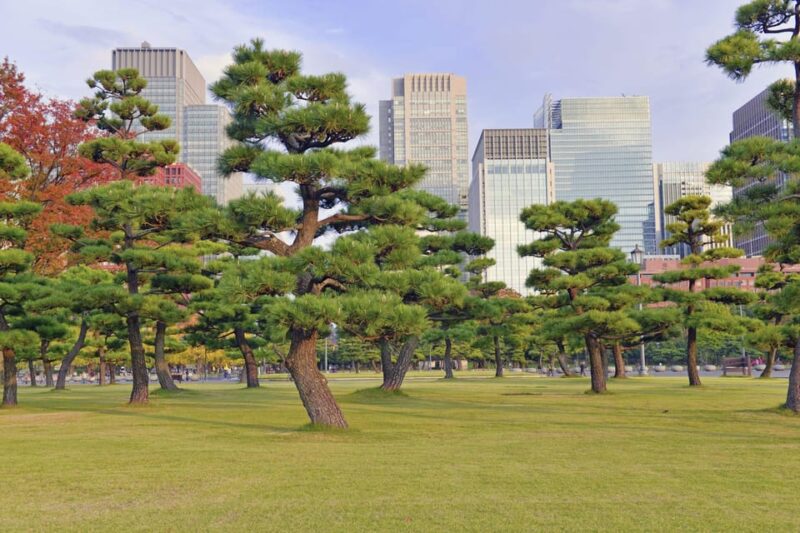 Tokyo: Half-Day Morning Small Group Tour - Frequently Asked Questions