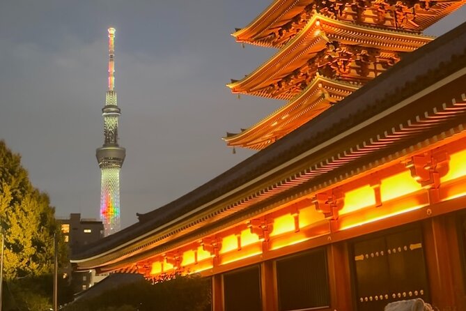 Tokyo: Haneda Airport Private Transfer to City Hotels - Recommendations for Improvement