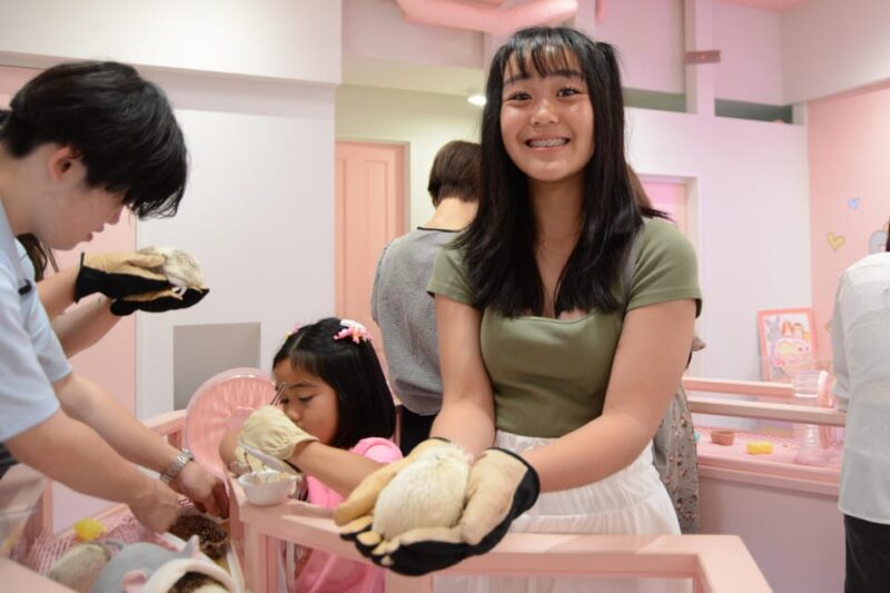 Tokyo: Harajuku Family Friendly Guided Walking Tour - Experience and Activities