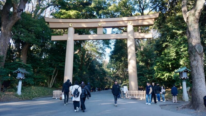 Tokyo: Harajuku Meiji Shrine 1h Walking Explanation Tour - Group Size and Languages