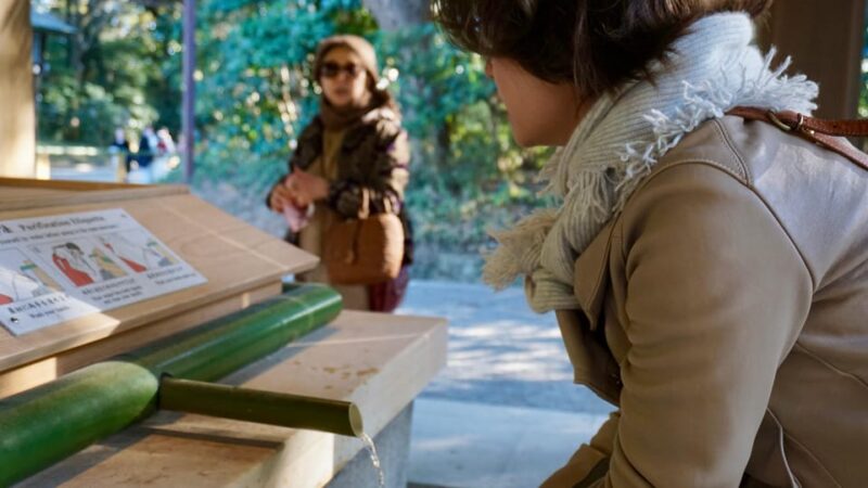 Tokyo: Harajuku Meiji Shrine 1h Walking Explanation Tour - Itinerary and Highlights