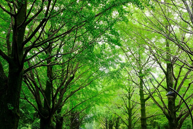 Tokyo Hikarigaoka Park Photo Shooting - Recommended Photography Tips