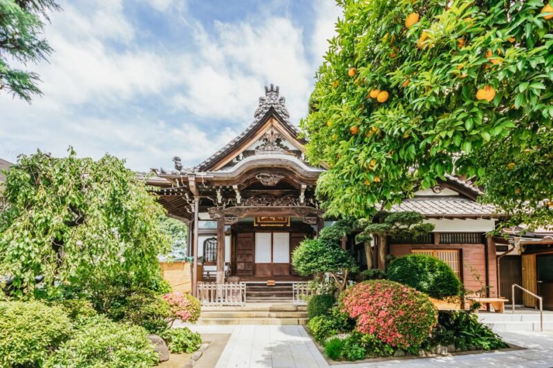 Tokyo: Hop-On Hop-Off Sightseeing Bus Ticket - Shuttle Service Availability