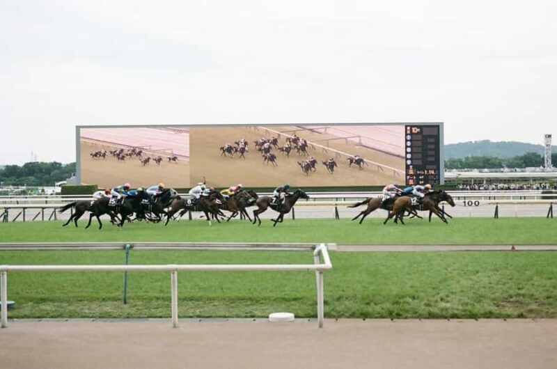 Tokyo: Horse Racing Experience with Local Fan - Why This Tour Works Well